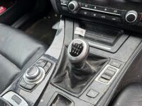 BMW 5 SERIES 520D EFFICIENT DYNAMICS 4DR SALOON - 21