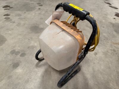 110V SITE LIGHT