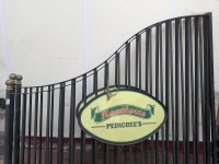3No. APPROX. 2500mm x 2200mm METAL DECRATIVE RAILINGS - 4