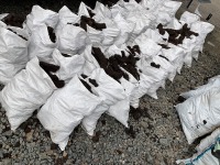 APPROX. 22No. BAGS OF TURF - 2