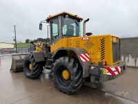 DGM 935 PRO ARTICULATED LOADING SHOVEL - 3