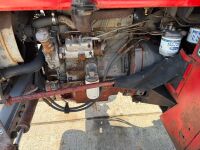 MASSEY 135 2WD TRACTOR - 4
