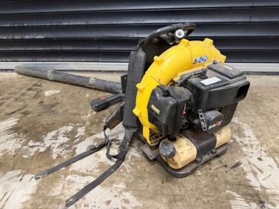 KAAZ BACKPACK PETROL LEAF BLOWER&nbsp;